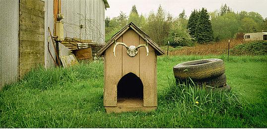 光谱资讯《富甲天下2》Steam游戏页面上线 发售日期待定